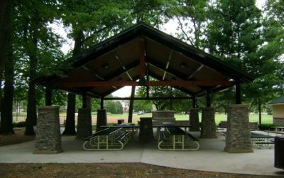 Picnic & White Elephant Auction Info