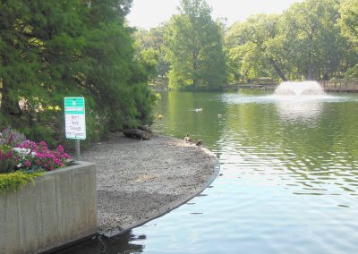 Ducks resting alongside a pond