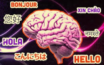 Language Processing in the Brain Across Diverse Languages and Speakers